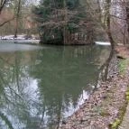 Ensana Thermal Sárvár Sárvár - Környék