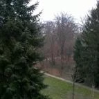 Ensana Thermal Sárvár Sárvár - Környék