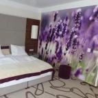 Ambient Hotel & ThermalSPA**** Sikonda - Szobák