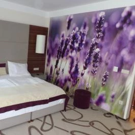 Ambient Hotel & ThermalSPA**** Sikonda - Szobák