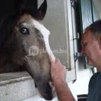 Abbázia Country Club Nemesnép - Környék