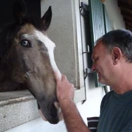 Abbázia Country Club Nemesnép - Környék