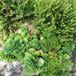 Abbázia Country Club Nemesnép - Környék