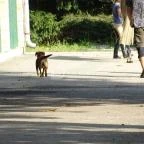 Abbázia Country Club Nemesnép - Környék