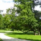 Batthyány-kastély Bicske - 