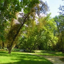 Batthyány-kastély Bicske - Egyéb