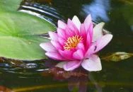 Batthyány-kastély Bicske Batthyány-kastély Bicske