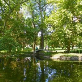 Batthyány-kastély Bicske - Egyéb