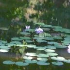 Batthyány-kastély Bicske - 