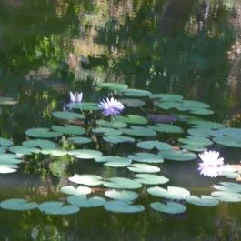 Batthyány-kastély Bicske - Egyéb