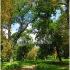 Batthyány-kastély Bicske - 