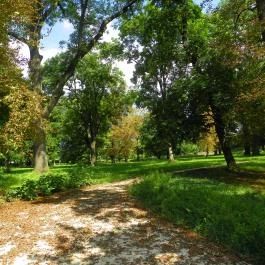 Batthyány-kastély Bicske - Egyéb