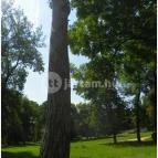 Batthyány-kastély Bicske - 