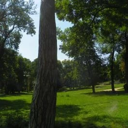 Batthyány-kastély Bicske - Egyéb