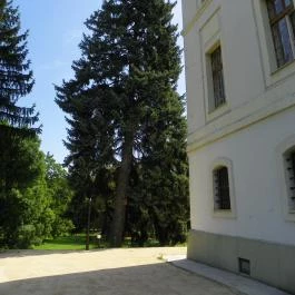 Batthyány-kastély Bicske - Egyéb