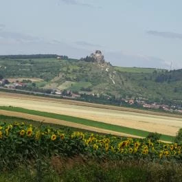 Boldogkői vár Boldogkőváralja - Egyéb