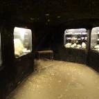 Boldogkői vár Boldogkőváralja - 