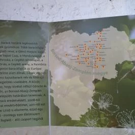 Boldogkői vár Boldogkőváralja - Egyéb