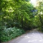 Budakeszi Vadaspark Budakeszi - 