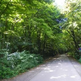 Budakeszi Vadaspark Budakeszi - Egyéb