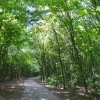 Budakeszi Vadaspark Budakeszi - 