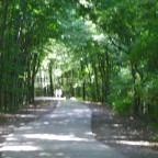 Budakeszi Vadaspark Budakeszi - 