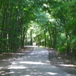 Budakeszi Vadaspark Budakeszi - Egyéb