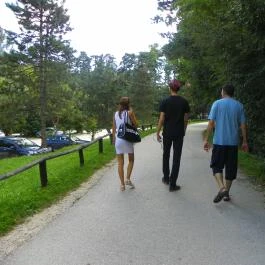 Budakeszi Vadaspark Budakeszi - Egyéb