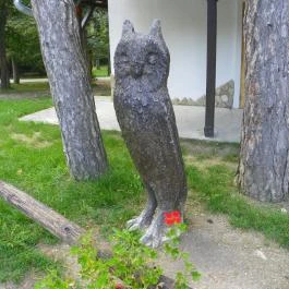 Budakeszi Vadaspark Budakeszi - Egyéb