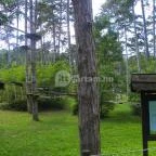 Budakeszi Vadaspark Budakeszi - 