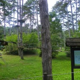 Budakeszi Vadaspark Budakeszi - Egyéb