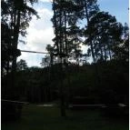 Budakeszi Vadaspark Budakeszi - 