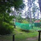 Budakeszi Vadaspark Budakeszi - 