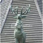 Budakeszi Vadaspark Budakeszi - 