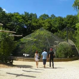 Budakeszi Vadaspark Budakeszi - Egyéb