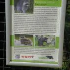 Budakeszi Vadaspark Budakeszi - 