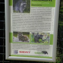 Budakeszi Vadaspark Budakeszi - Egyéb