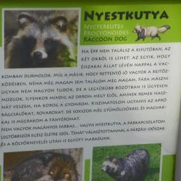 Budakeszi Vadaspark Budakeszi - Egyéb