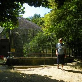 Budakeszi Vadaspark Budakeszi - Egyéb