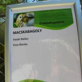 Budakeszi Vadaspark Budakeszi - Egyéb