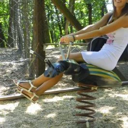 Budakeszi Vadaspark Budakeszi - Egyéb