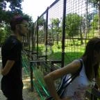 Budakeszi Vadaspark Budakeszi - 