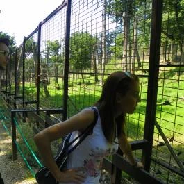 Budakeszi Vadaspark Budakeszi - Egyéb