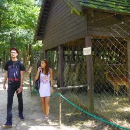 Budakeszi Vadaspark Budakeszi - Egyéb