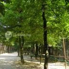 Budakeszi Vadaspark Budakeszi - 