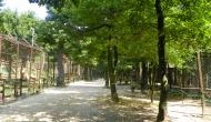Budakeszi Vadaspark Budakeszi - 