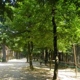 Budakeszi Vadaspark Budakeszi - Egyéb