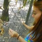 Budakeszi Vadaspark Budakeszi - 