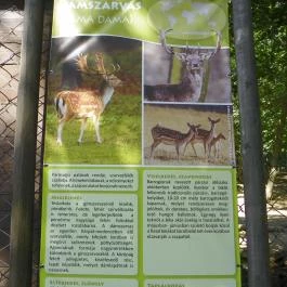 Budakeszi Vadaspark Budakeszi - Egyéb