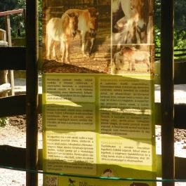 Budakeszi Vadaspark Budakeszi - Egyéb